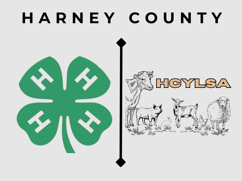 Results 2024 Harney County 4H and Youth Livestock Show & Auction